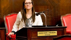 Proyecto de Larraburu impediría a Ramiro Villalba seguir cobrando en el Concejo y en la Provincia a la vez